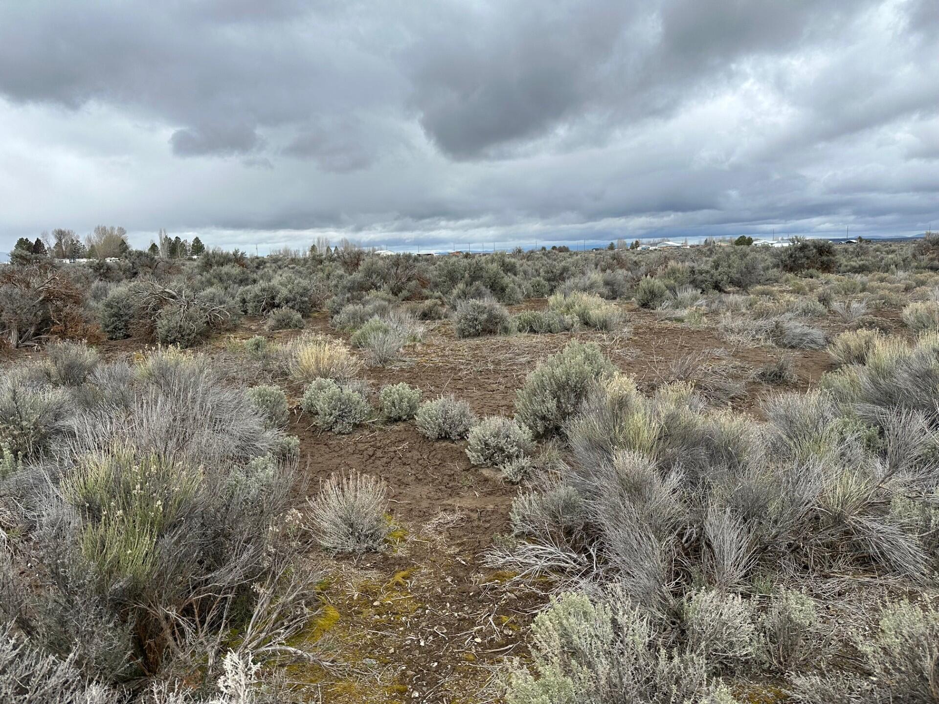 0 Bark Loop Christmas Valley, OR 97641 - Photo 1 of 3 Vacant Land