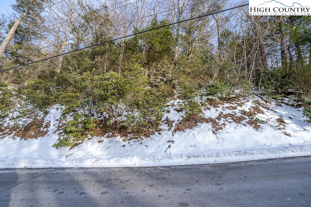 Boxwood Boone, NC 28607 - Photo 20 of 29 Gallery Image 20