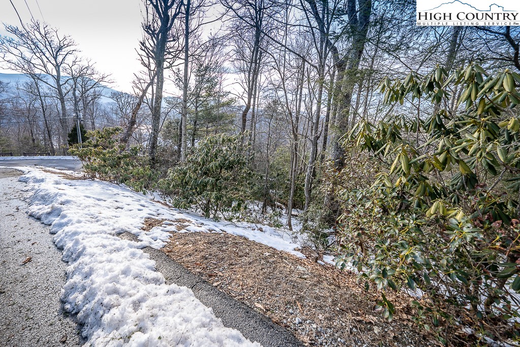 Boxwood Boone, NC 28607 - Photo 27 of 29 Gallery Image 27