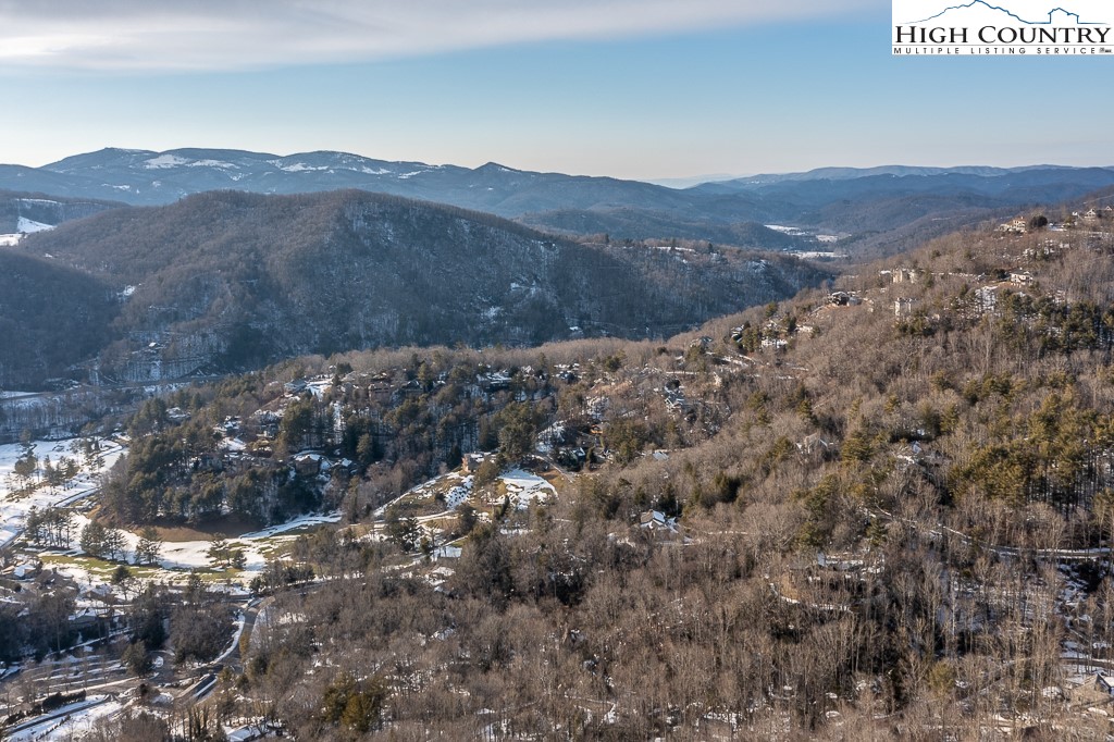 Boxwood Boone, NC 28607 - Photo 4 of 29 Gallery Image 4