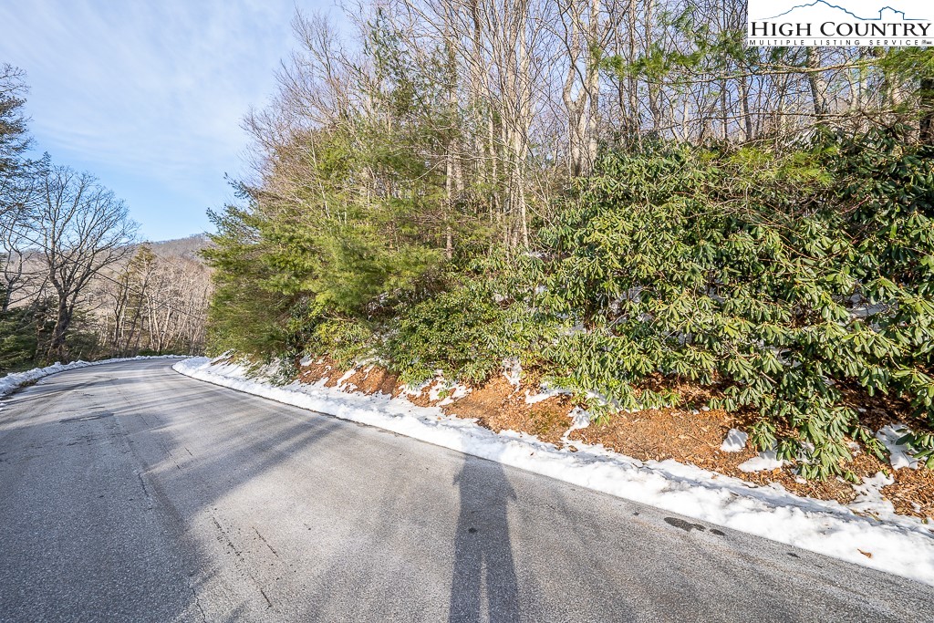Boxwood Boone, NC 28607 - Photo 8 of 29 Gallery Image 8