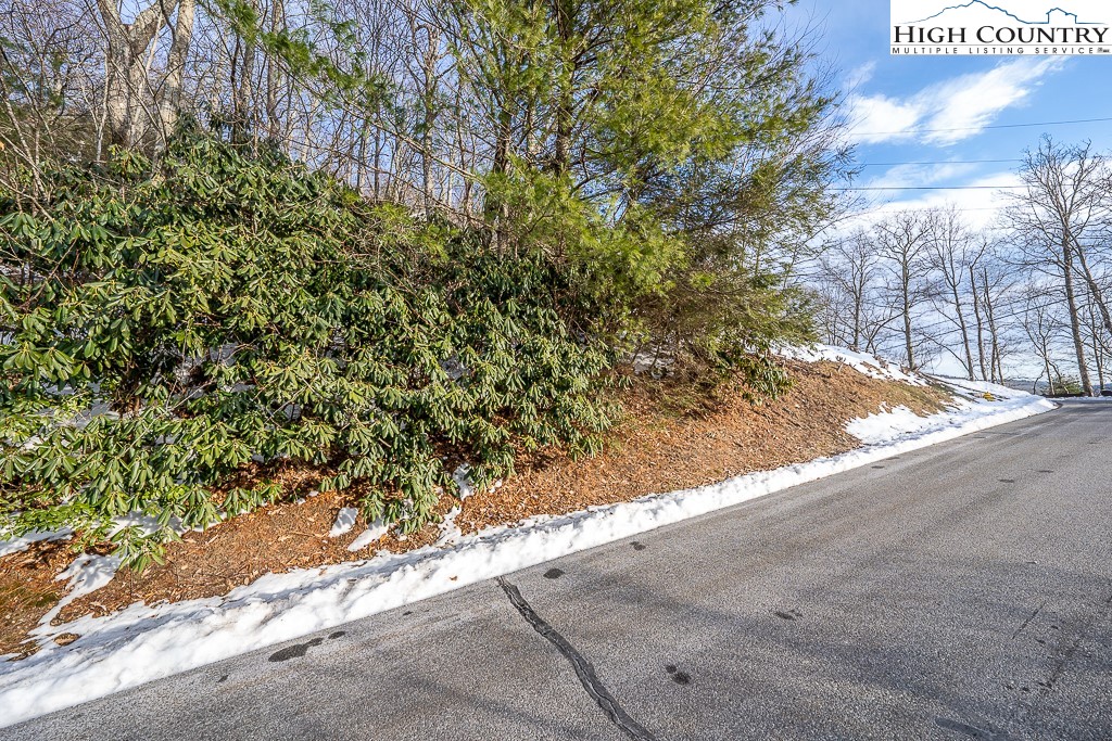 Boxwood Boone, NC 28607 - Photo 9 of 29 Gallery Image 9