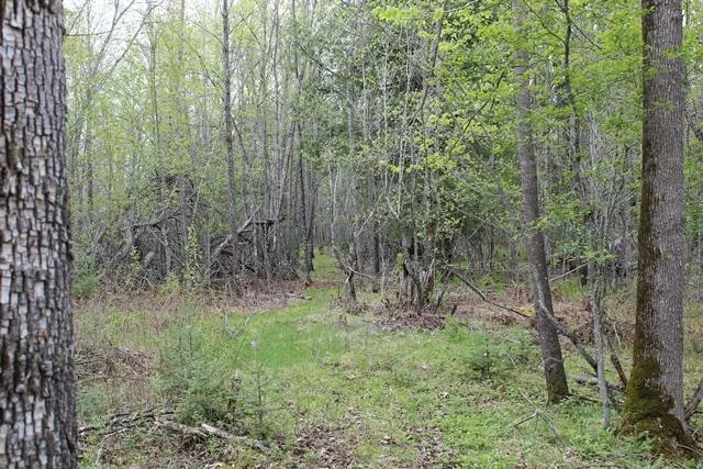 $1,500,000 | 19 County Road 19, Deer River, MN 56636