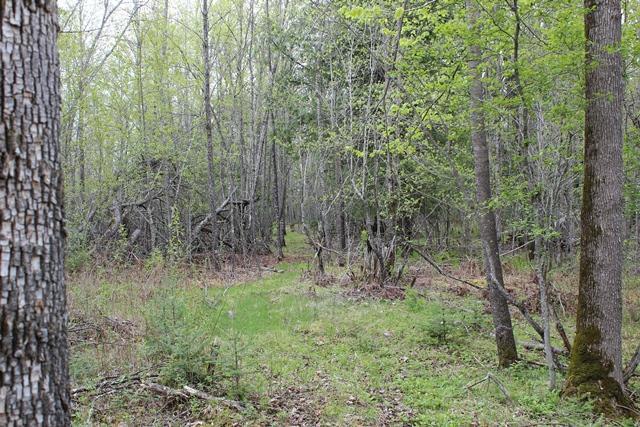 19 County Road 19 Deer River, MN 56636 - Photo 11 of 21