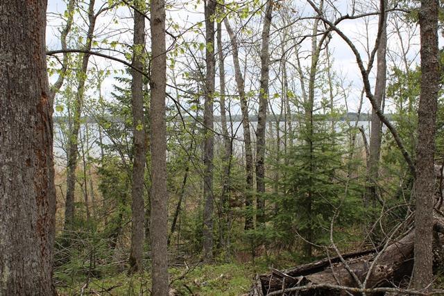 19 County Road 19 Deer River, MN 56636 - Photo 12 of 21