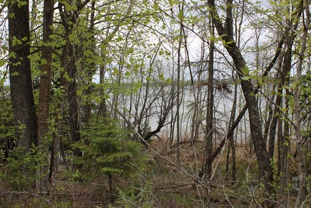 19 County Road 19 Deer River, MN 56636 - Photo 13 of 21