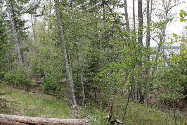 19 County Road 19 Deer River, MN 56636 - Photo 14 of 21