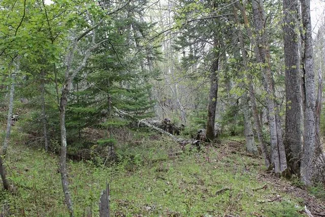 $1,500,000 | 19 County Road 19, Deer River, MN 56636