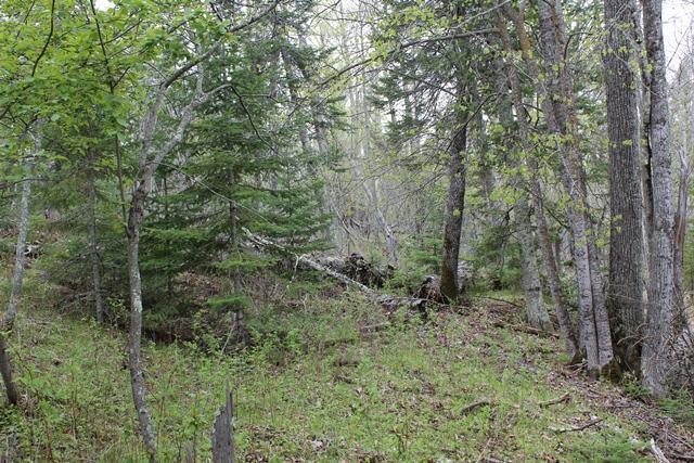 19 County Road 19 Deer River, MN 56636 - Photo 15 of 21