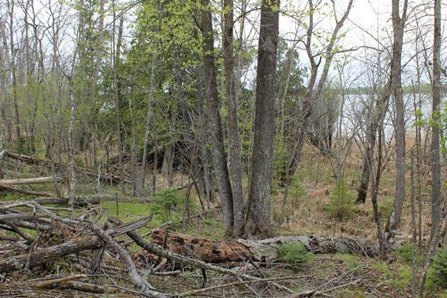 19 County Road 19 Deer River, MN 56636 - Photo 16 of 21