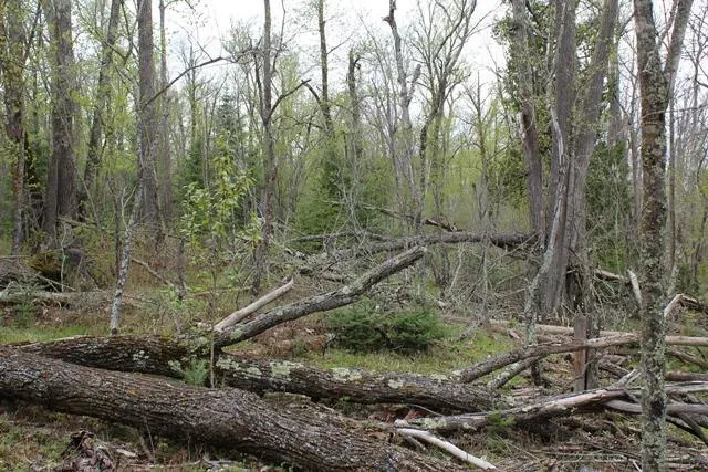 $1,500,000 | 19 County Road 19, Deer River, MN 56636