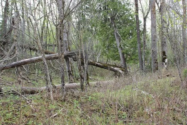 $1,500,000 | 19 County Road 19, Deer River, MN 56636