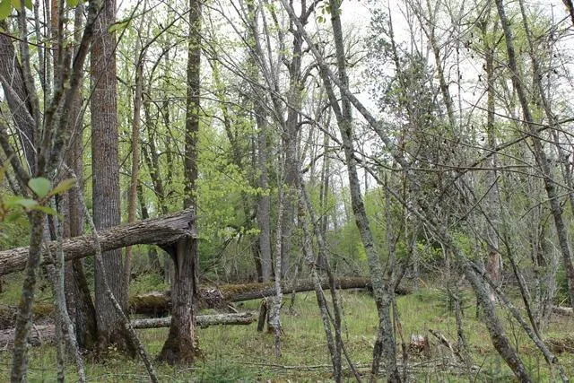 $1,500,000 | 19 County Road 19, Deer River, MN 56636