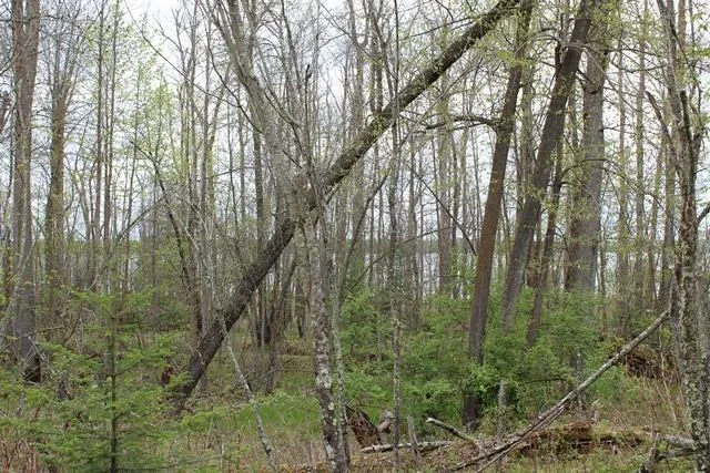 $1,500,000 | 19 County Road 19, Deer River, MN 56636