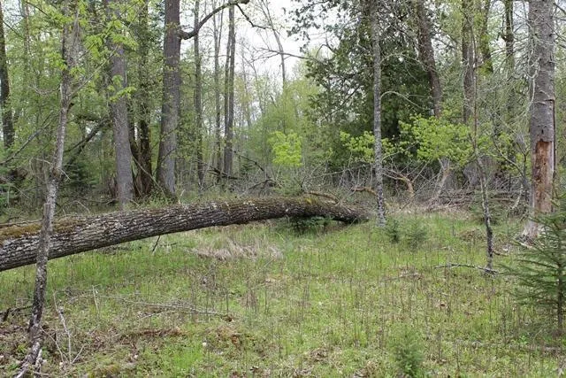 $1,500,000 | 19 County Road 19, Deer River, MN 56636