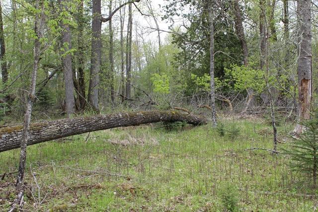 19 County Road 19 Deer River, MN 56636 - Photo 21 of 21