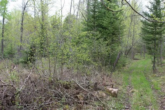 $1,500,000 | 19 County Road 19, Deer River, MN 56636