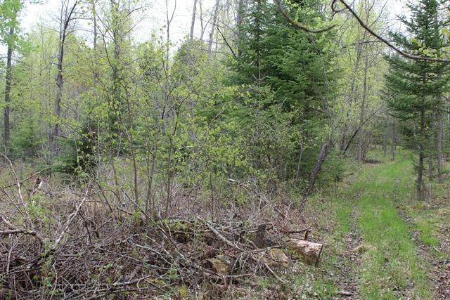 19 County Road 19 Deer River, MN 56636 - Photo 5 of 21