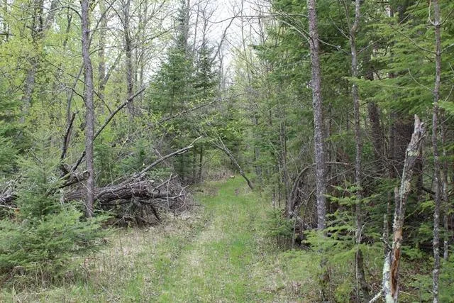 $1,500,000 | 19 County Road 19, Deer River, MN 56636