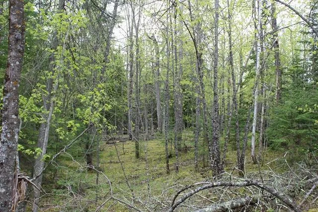 $1,500,000 | 19 County Road 19, Deer River, MN 56636