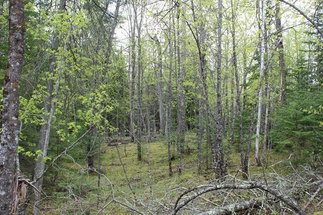 19 County Road 19 Deer River, MN 56636 - Photo 7 of 21