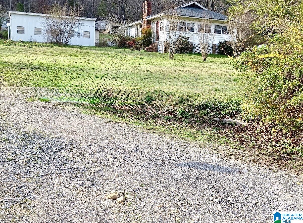 16829 Remlap Drive Remlap, AL 35133 - Photo 1 of 8