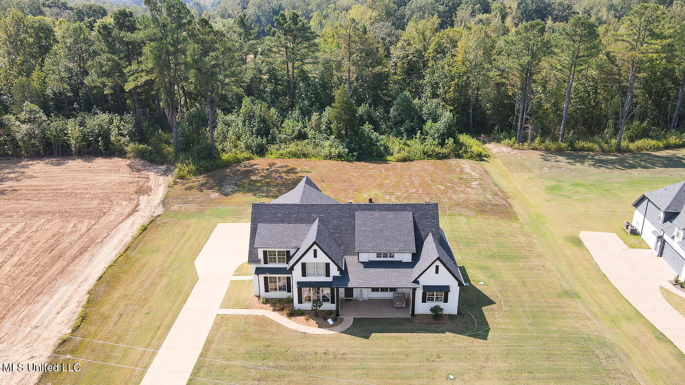 481 Poplar Lane Holly Springs, MS 38635 - Photo 4 of 59 untitled-65