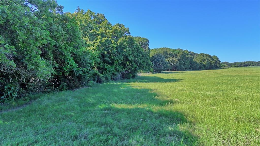 1580 Lama Road Bowie, TX 76230 - Photo 11 of 32
