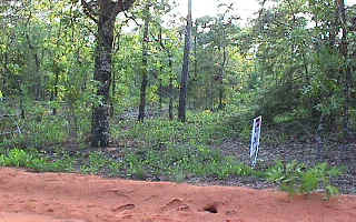 Bear Creek Road Crestview, FL 32539 - Photo 1 of 1 Primary Photo