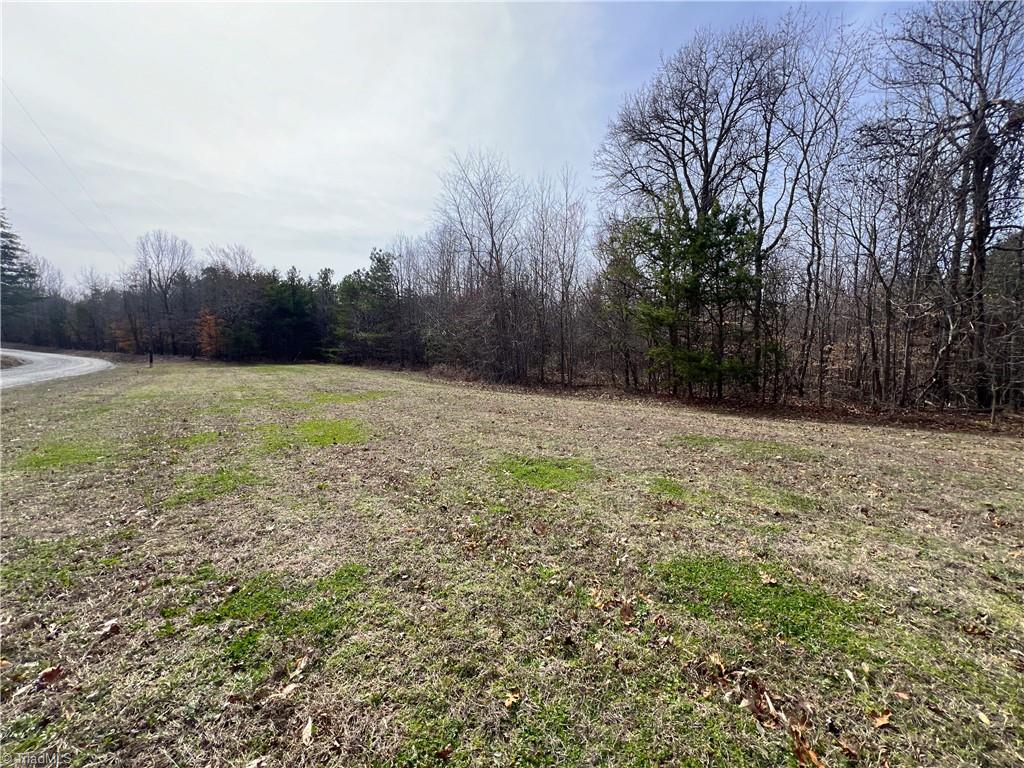 7.02-ac Mitchell Road Reidsville, NC 27320 - Photo 1 of 24 Gallery Image 1