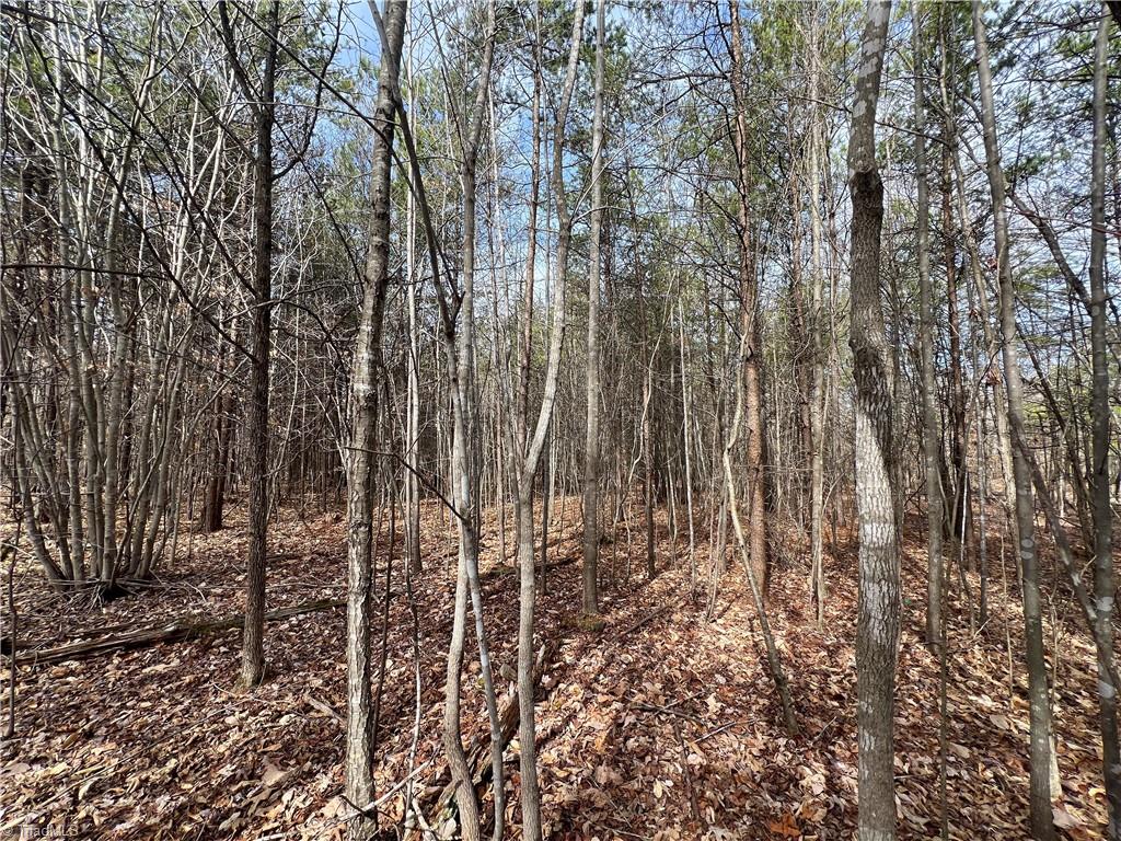 7.02-ac Mitchell Road Reidsville, NC 27320 - Photo 12 of 24 Gallery Image 12