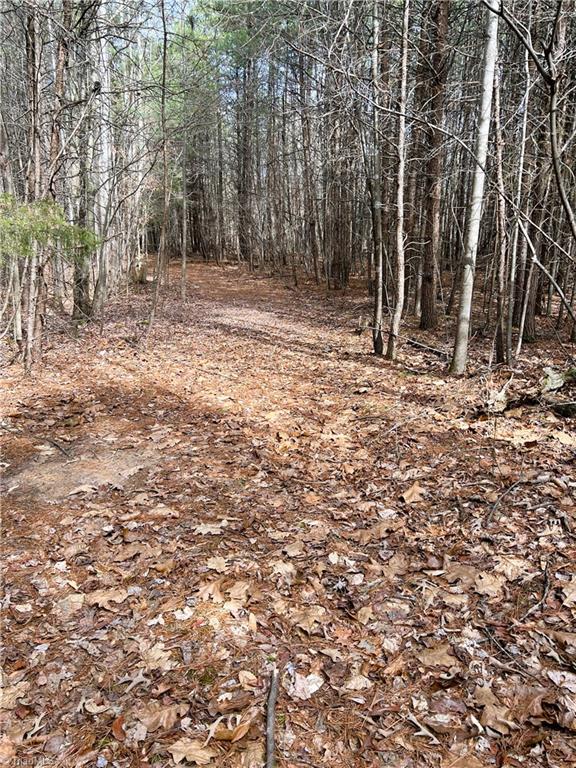 7.02-ac Mitchell Road Reidsville, NC 27320 - Photo 15 of 24 Gallery Image 15