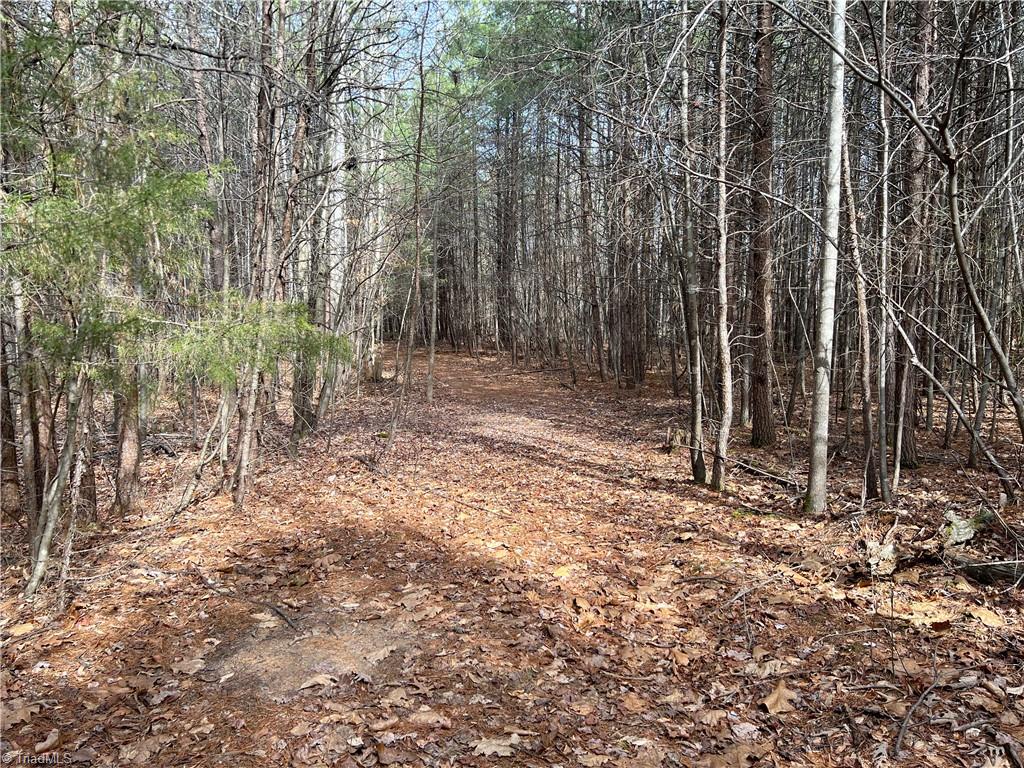 7.02-ac Mitchell Road Reidsville, NC 27320 - Photo 16 of 24 Gallery Image 16