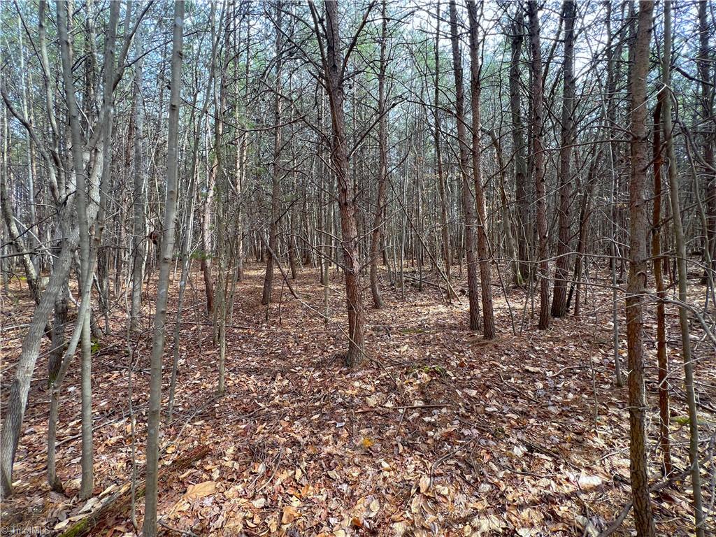 7.02-ac Mitchell Road Reidsville, NC 27320 - Photo 18 of 24 Gallery Image 18