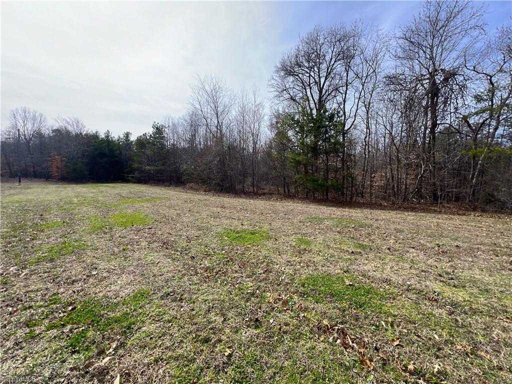 7.02-ac Mitchell Road Reidsville, NC 27320 - Photo 22 of 24 Gallery Image 22