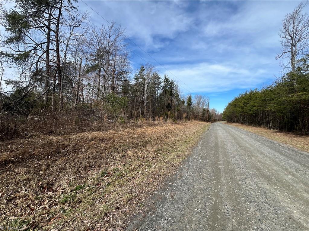 7.02-ac Mitchell Road Reidsville, NC 27320 - Photo 10 of 24 Gallery Image 10
