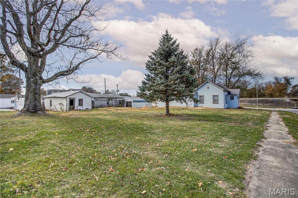 338 West Rowe Street Roodhouse, IL 62082 - Photo 7 of 34