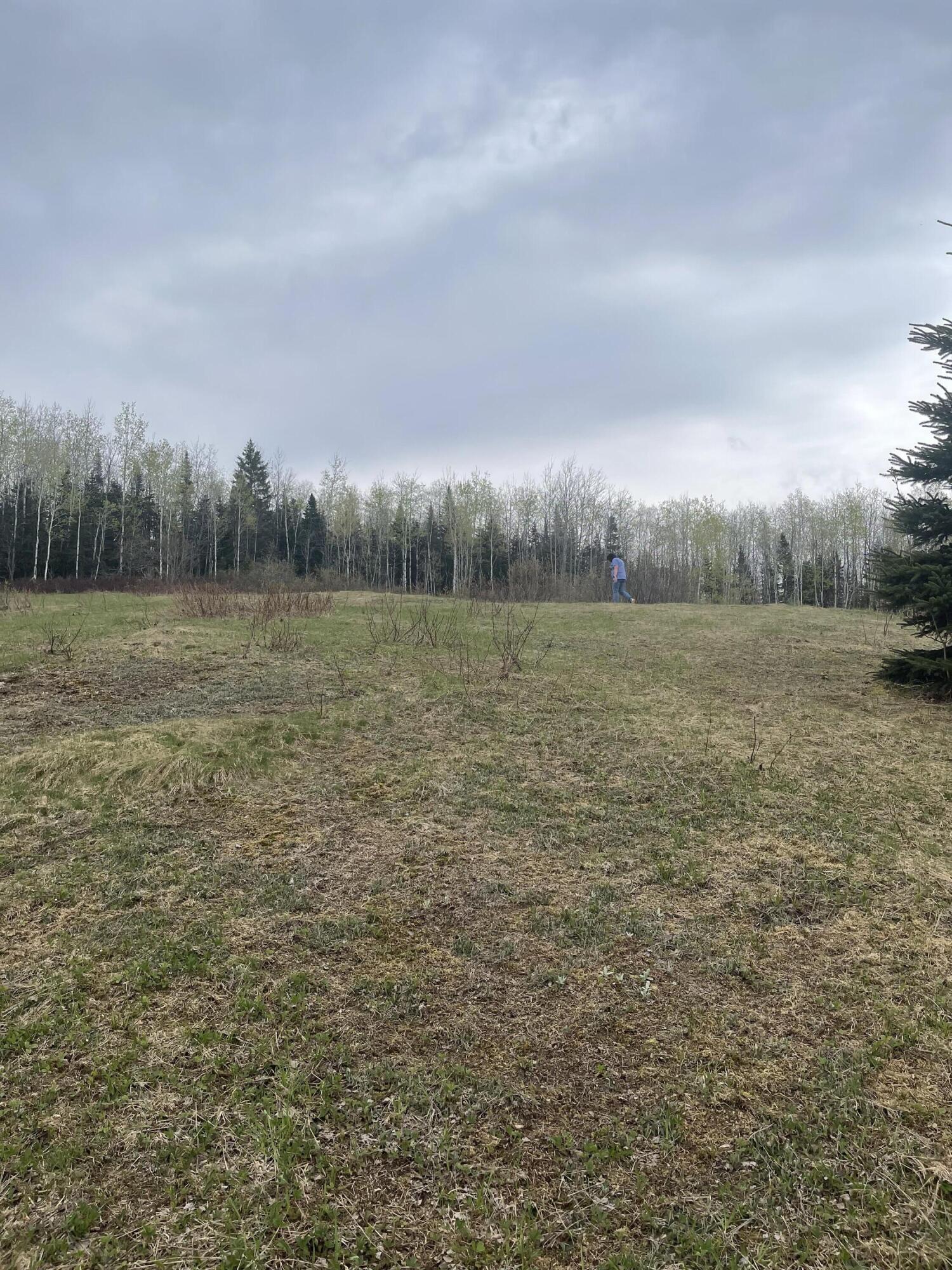Lot 2 Grivois Road Grand Isle, ME 04746 - Photo 2 of 9 IMG_6917