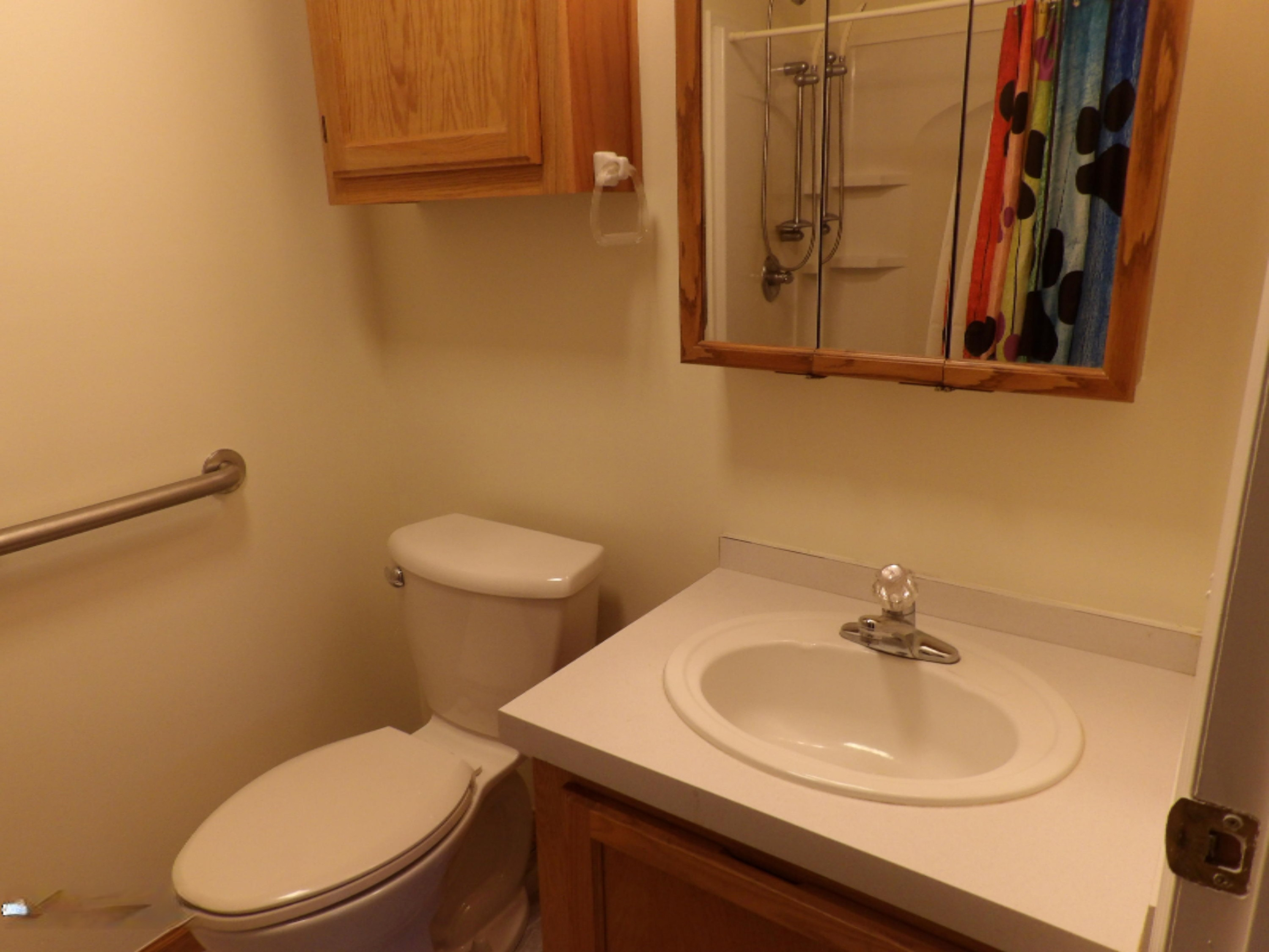 4080 Barber Road Hastings, MI 49058 - Photo 19 of 41 Master Bath