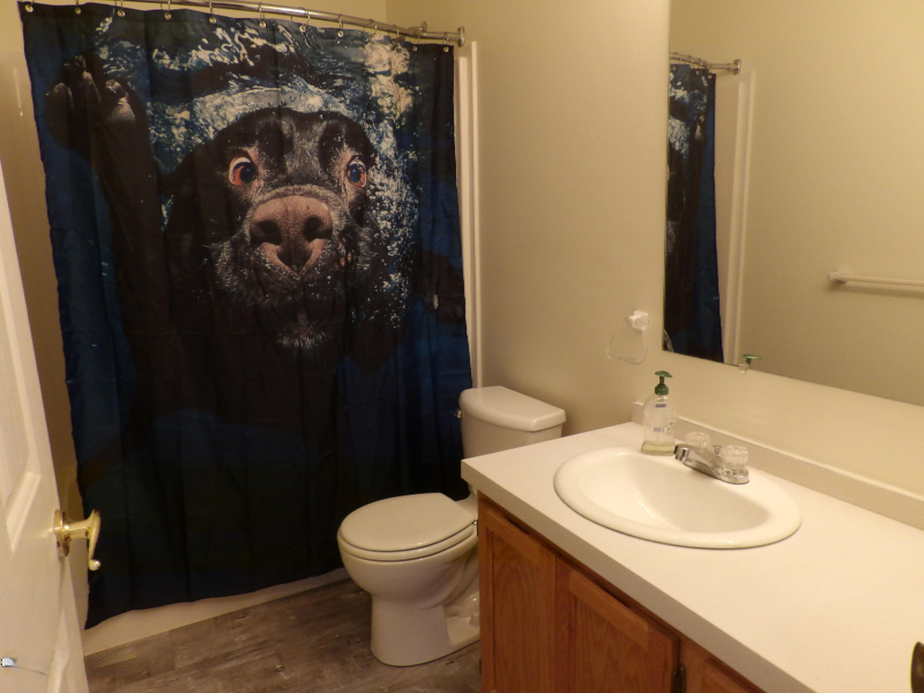 4080 Barber Road Hastings, MI 49058 - Photo 23 of 41 Guest Bath
