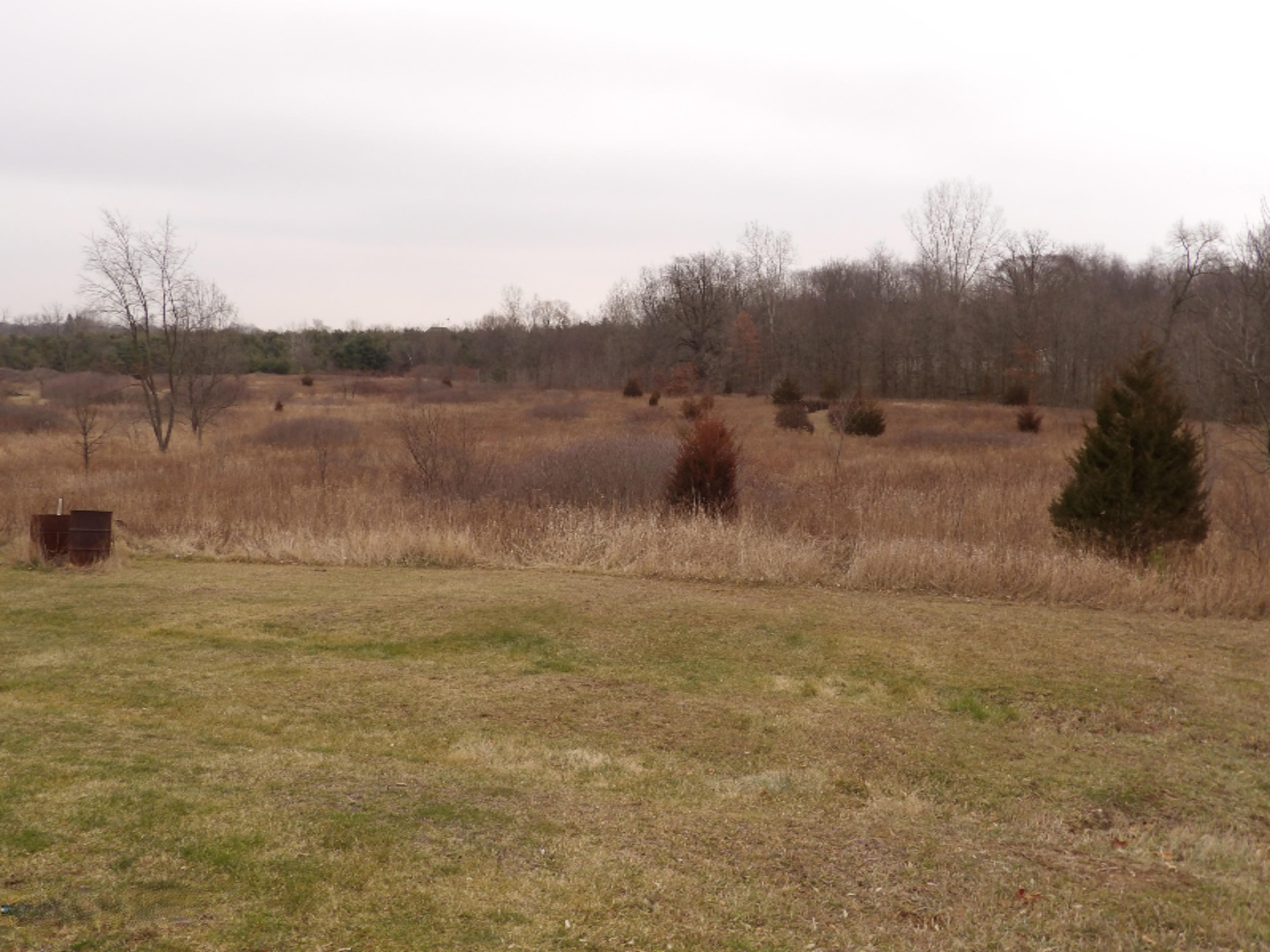 4080 Barber Road Hastings, MI 49058 - Photo 41 of 41 back acreage
