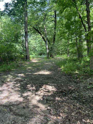 2401 Lisson Road Naperville, IL 60565 - Photo 4 of 5 a view of a forest with trees in the background