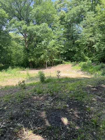 2401 Lisson Road Naperville, IL 60565 - Photo 5 of 5 a view of outdoor space and yard