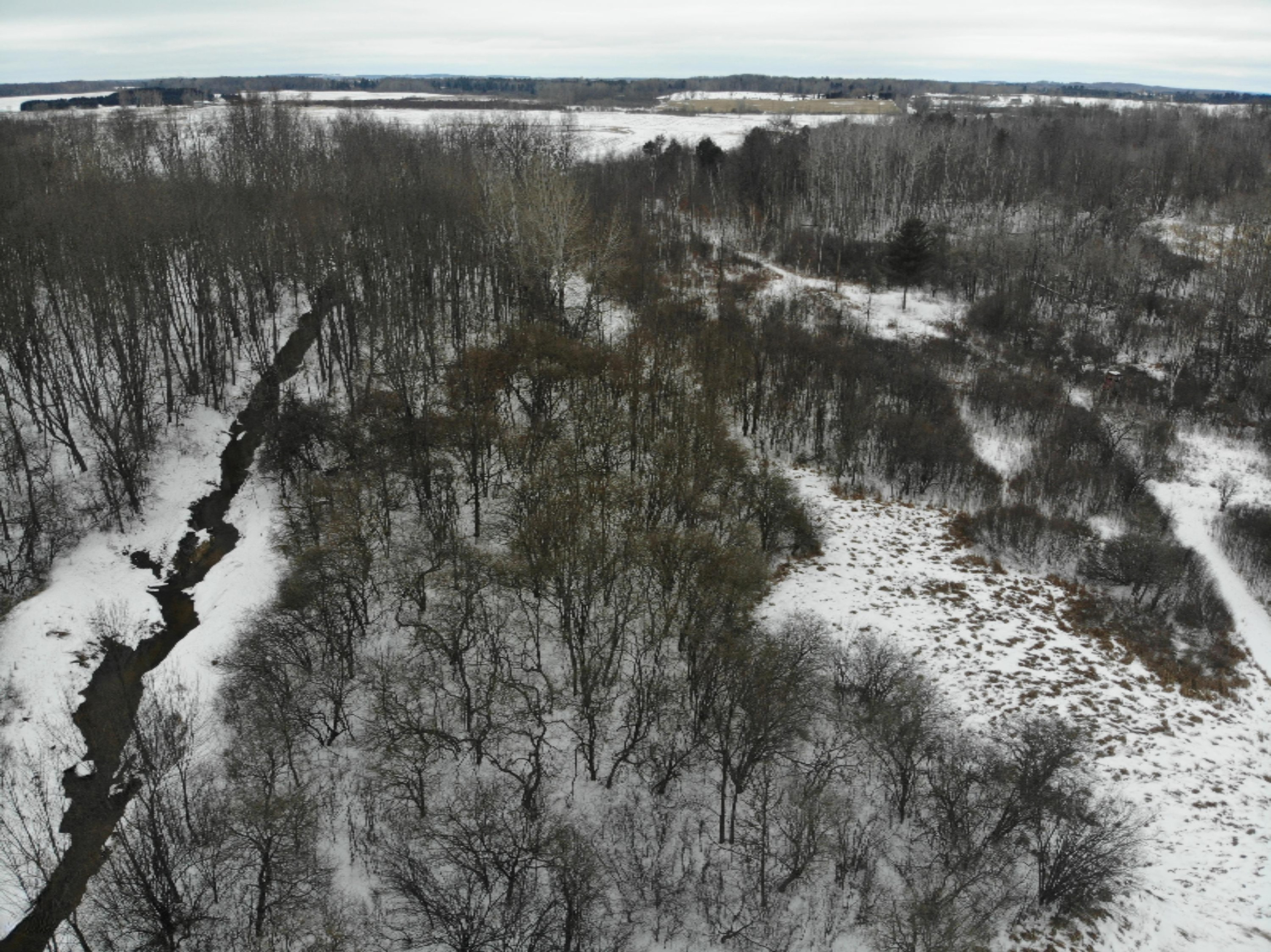 19 Mile Road Marion, MI 49665 - Photo 1 of 31 DJI_0363