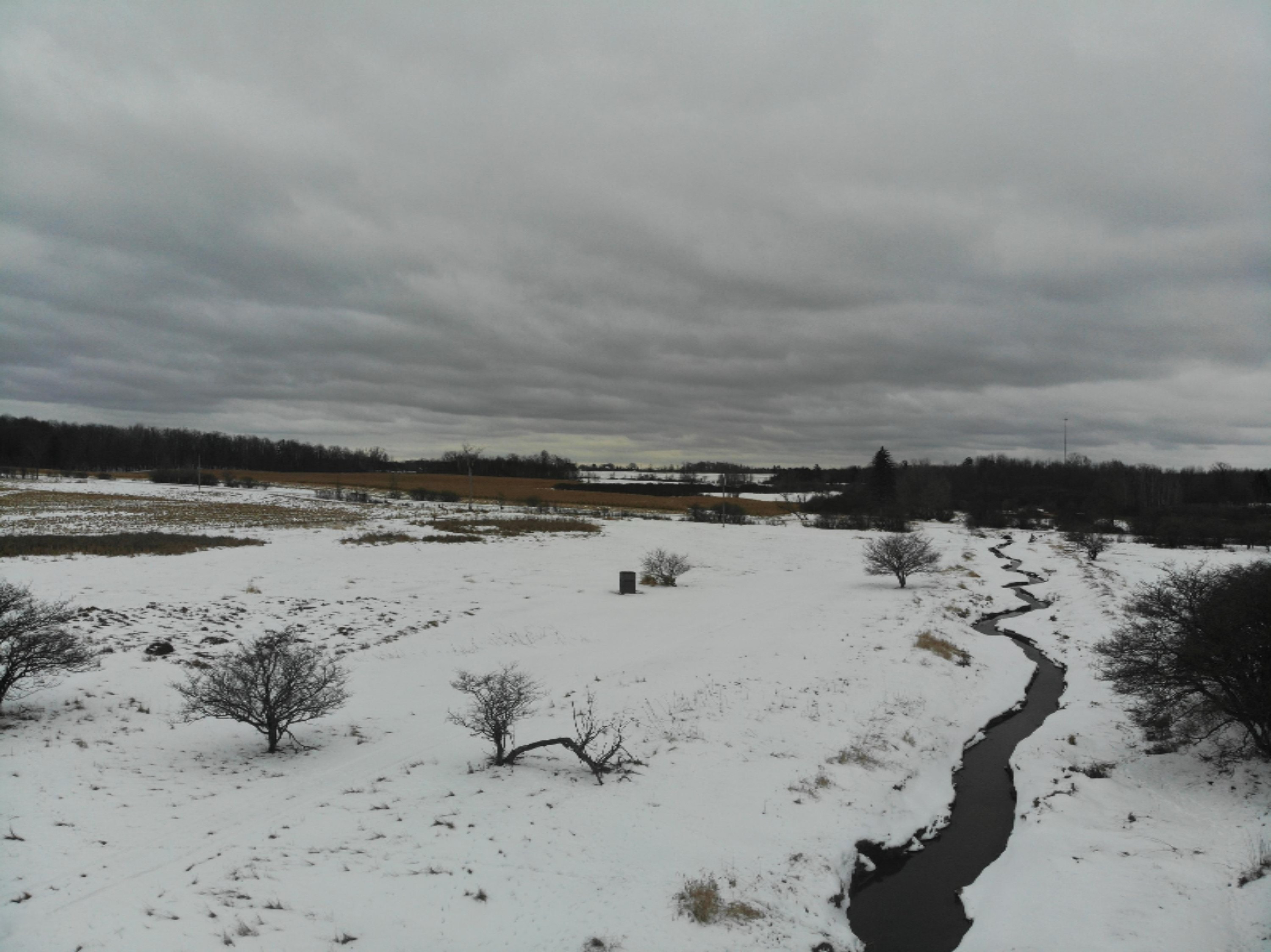 19 Mile Road Marion, MI 49665 - Photo 11 of 31 DJI_0390
