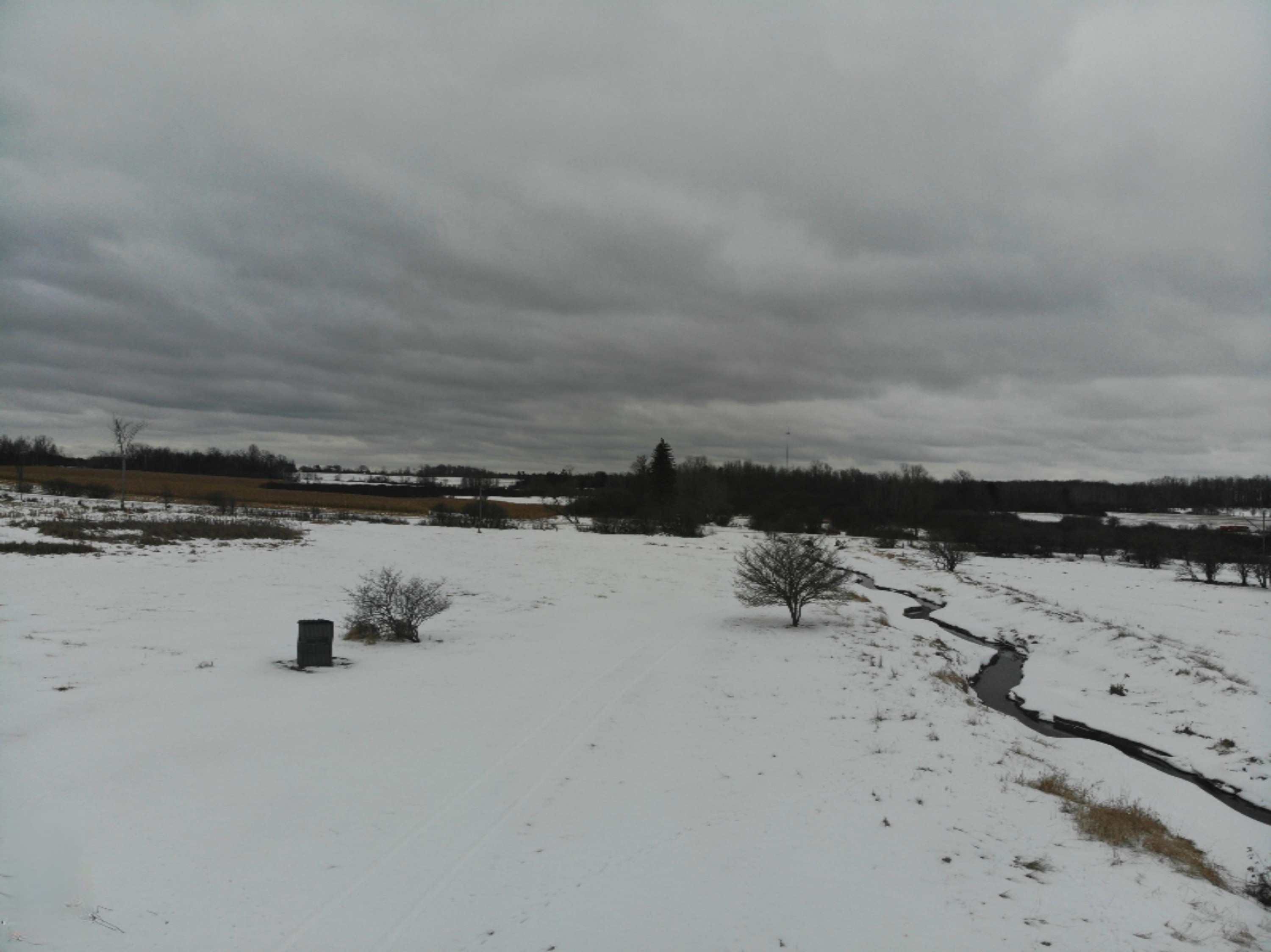 19 Mile Road Marion, MI 49665 - Photo 12 of 31 DJI_0394