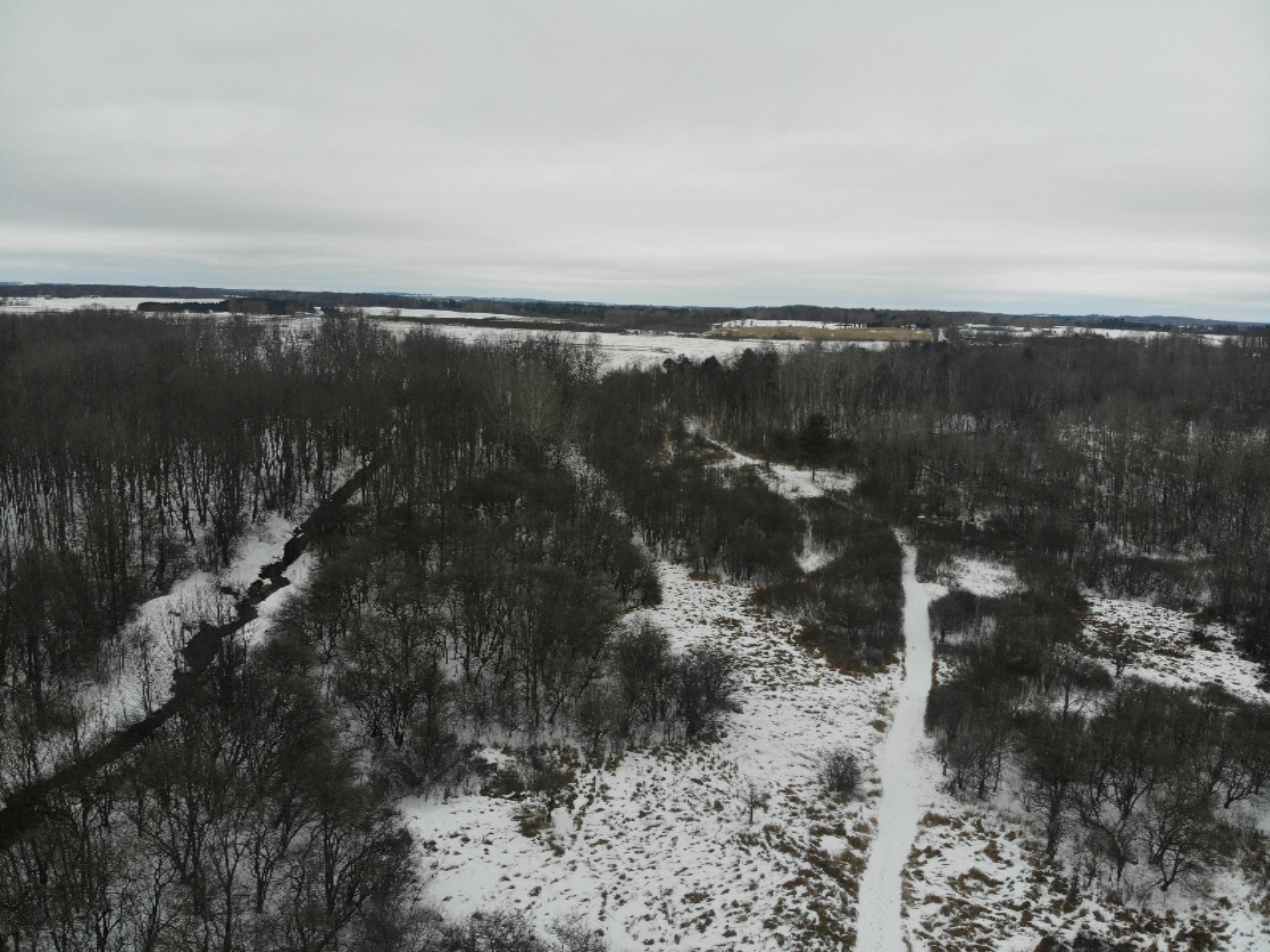 19 Mile Road Marion, MI 49665 - Photo 13 of 31 DJI_0357