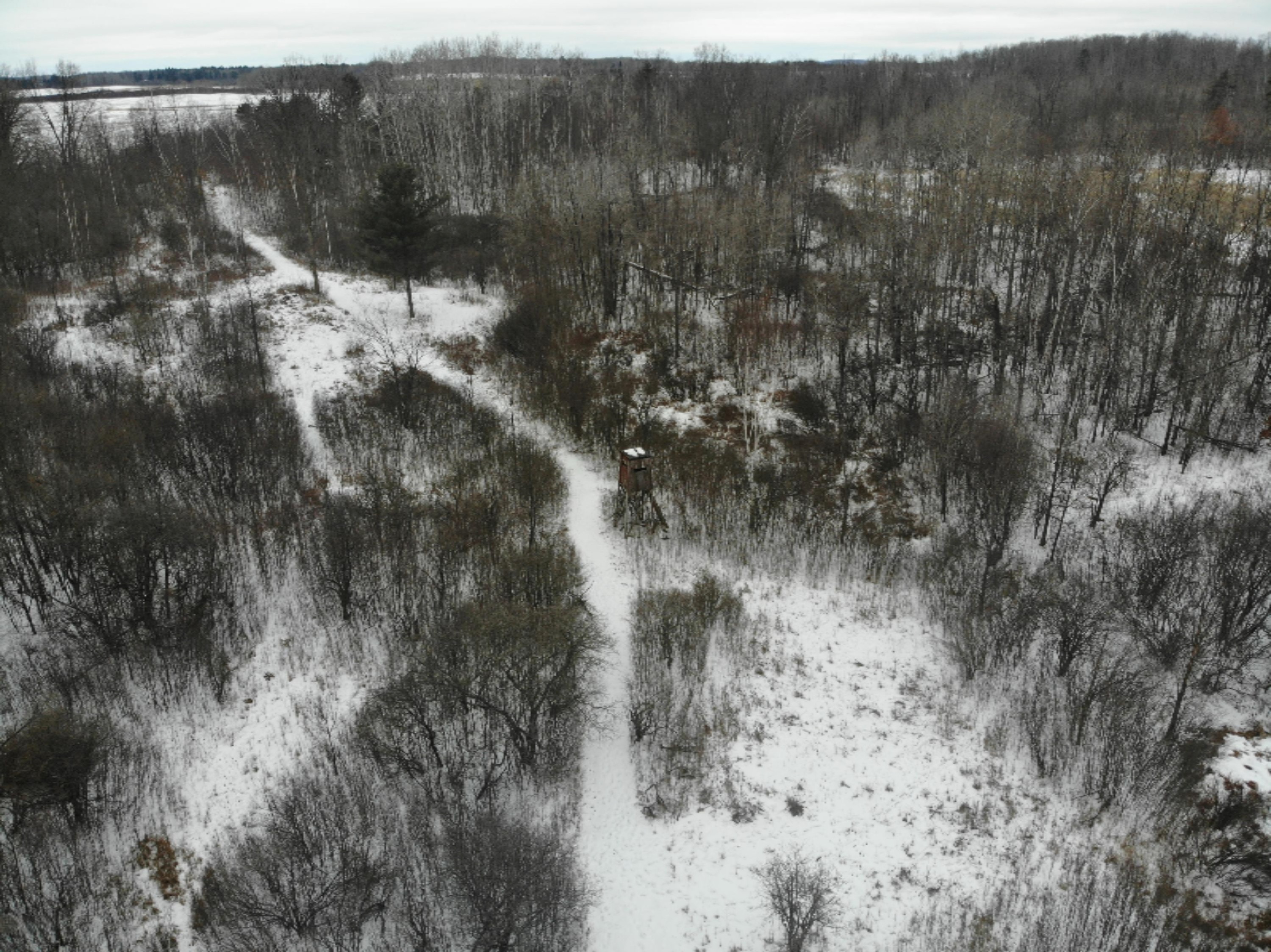 19 Mile Road Marion, MI 49665 - Photo 15 of 31 DJI_0366