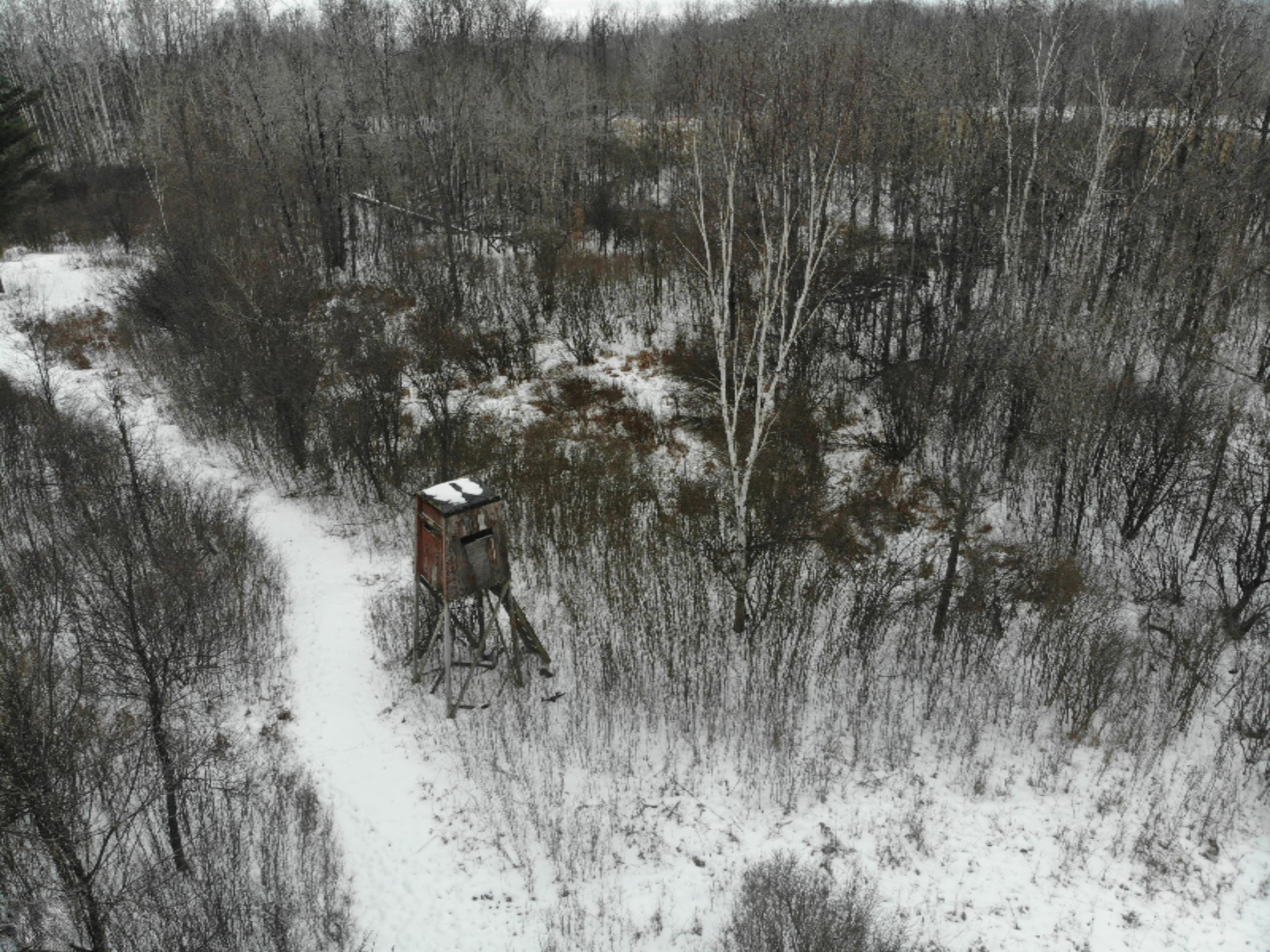 19 Mile Road Marion, MI 49665 - Photo 17 of 31 DJI_0371