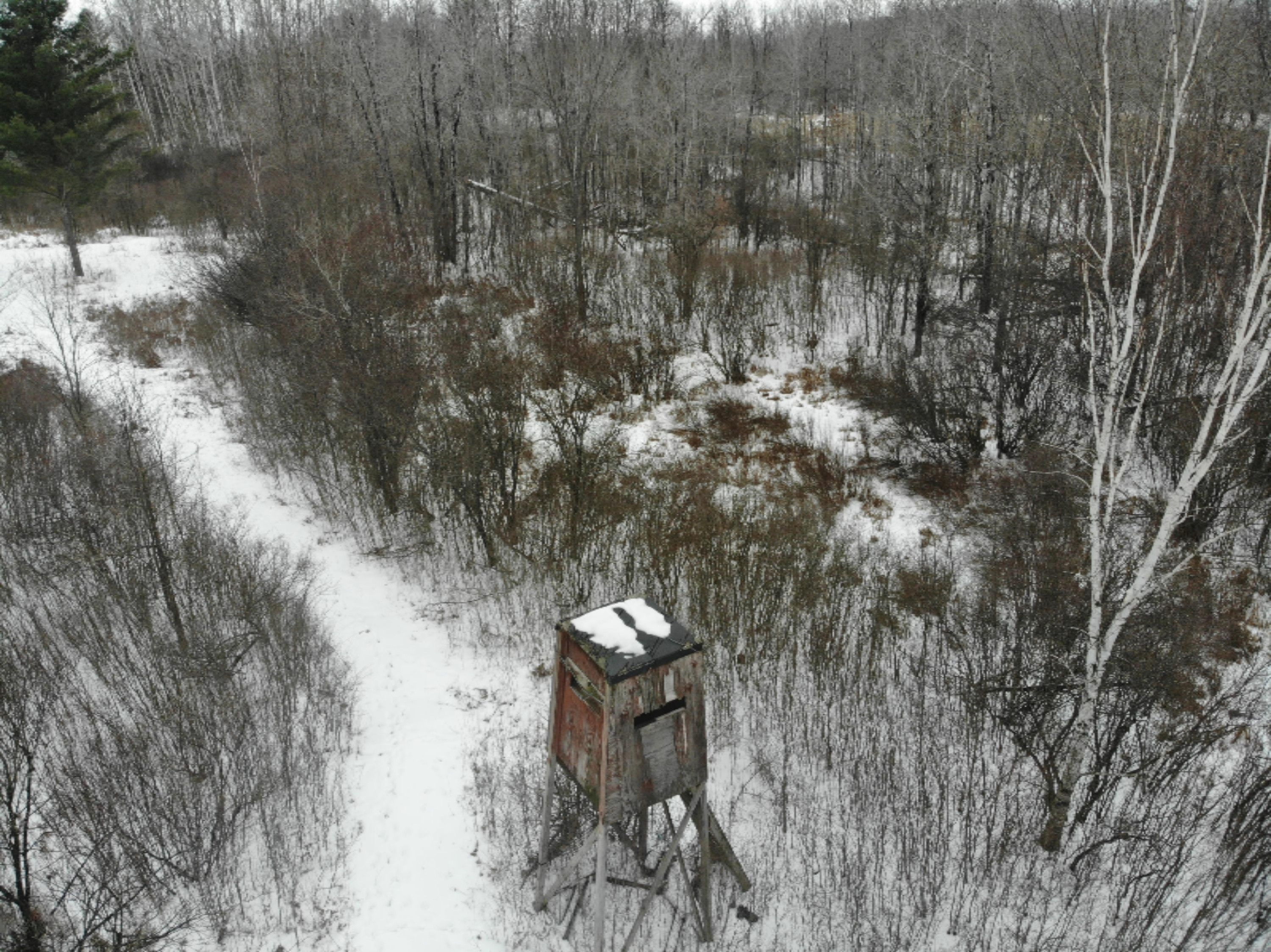 19 Mile Road Marion, MI 49665 - Photo 19 of 31 DJI_0372